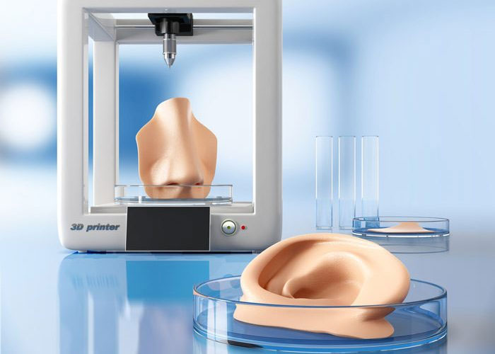 Công nghệ in sinh học 3D tạo ra sụn có thể điều chỉnh được hình dạng.