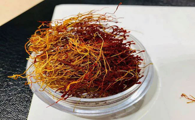 Saffron - nhuỵ hoa nghệ tây