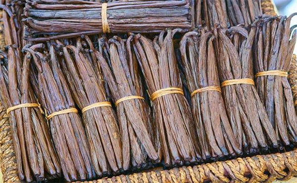 Vanilla rất hiếm và giá thành cực đắt đỏ.