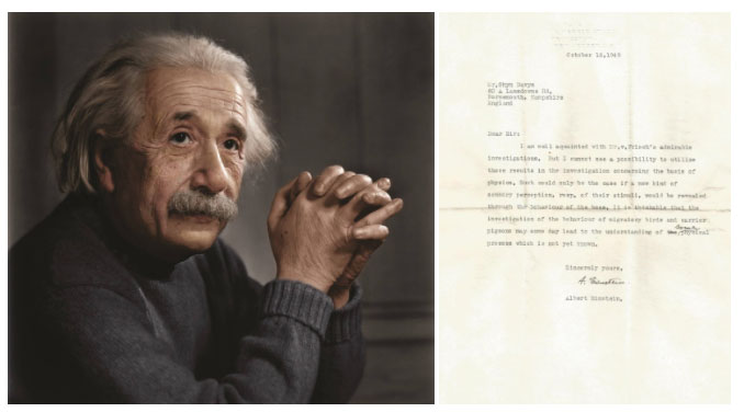 Albert Einstein và bức thư về việc khám phá hành vi của loài chim.