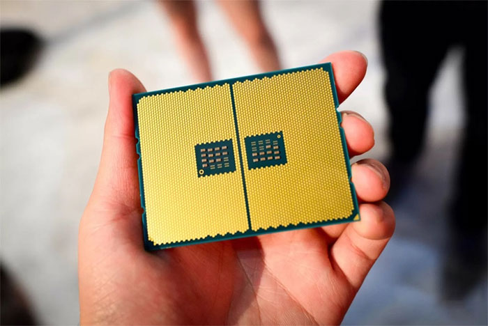 Intel và AMD đã tồn tại qua nhiều thập kỷ.