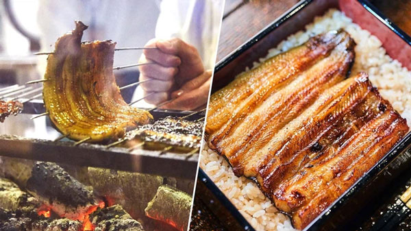 Món lươn Nhật cần sự chế biến tinh tế của người đầu bếp
