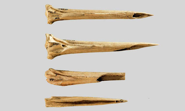 4 đoạn xương cổ chân gà tây dùng làm dụng cụ xăm hàng nghìn năm trước