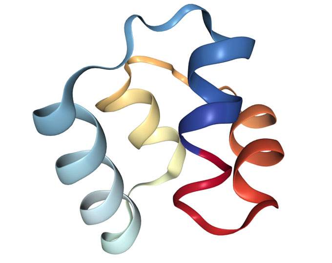 Cấu trúc protein của hợp chất này bền, khó bị phá vỡ.