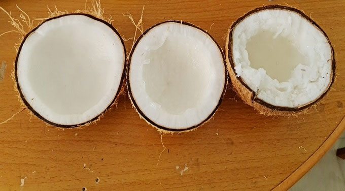Ba loại dừa máy nhận biết gồm dừa khô, dừa sáp mỏng, dừa sáp đặc.