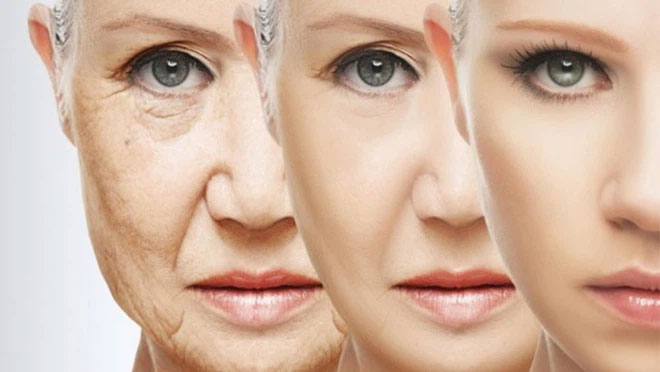 Chúng ta rất có thể không có khả năng làm chậm quá trình lão hóa do các giới hạn về sinh học.