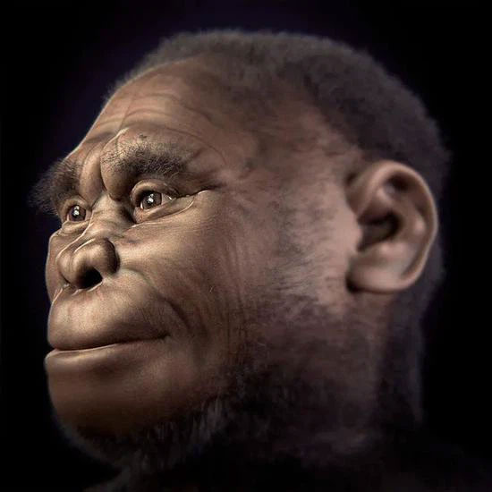 Các nhà khoa học tái tạo lại khuôn mặt của người Homo Flores.